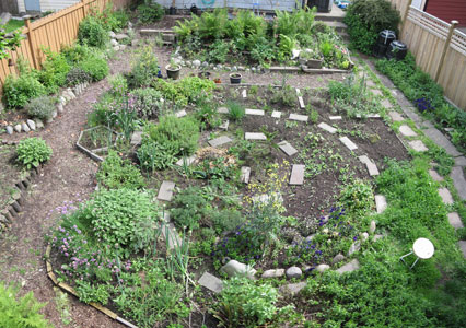 (view the East Van garden album)